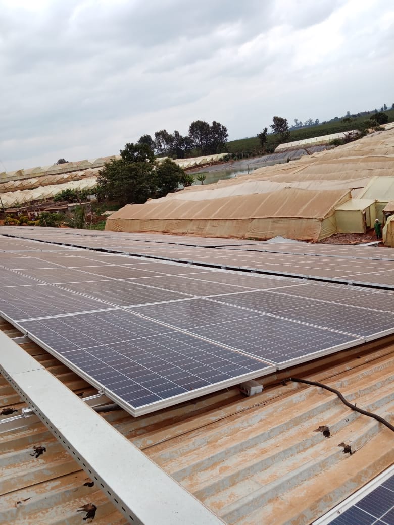 WhatsApp Image 2026-02-24 at 18.43.19 (2)